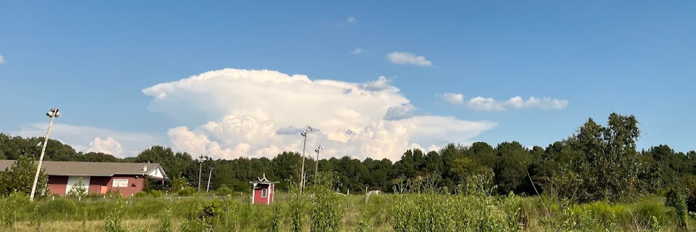 R&D / WIND TEST IMAGE